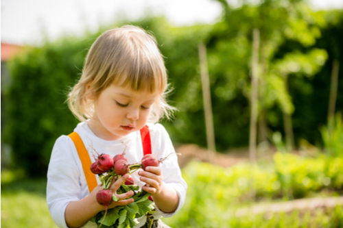 Organic gardening